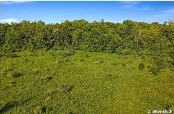 L8. 111 Churches Rd Ridges, Other, NY 12053