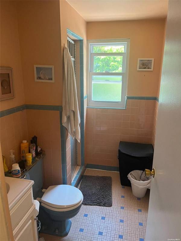 169 Patton BLVD, New Hyde Park, NY 11040