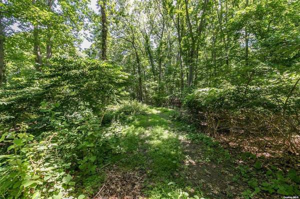 5 Hawks Nest, Nissequogue, NY 11780