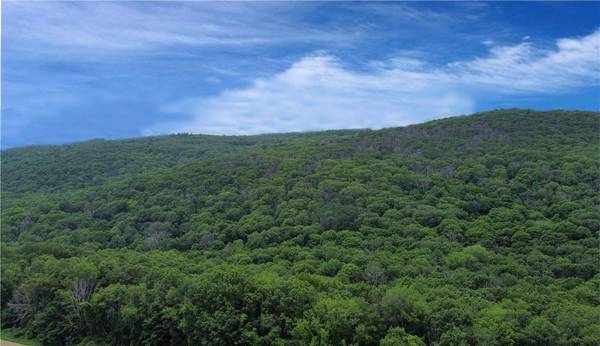 CASCADE MOUNTAIN RD, Amenia, NY 12501