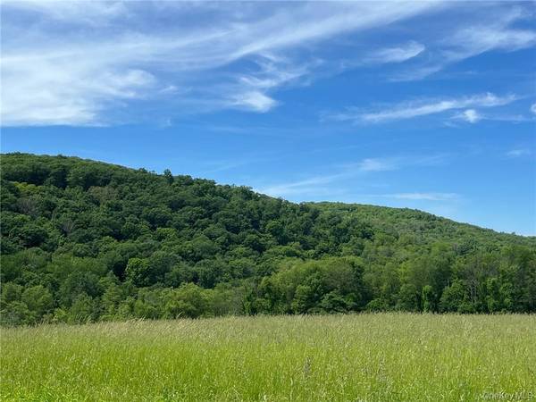 PERRYS CORNERS RD, Amenia, NY 12501