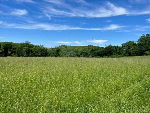 PERRYS CORNERS RD, Amenia, NY 12501