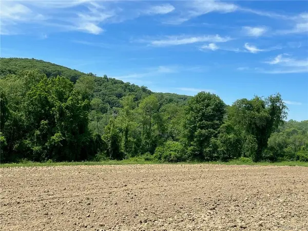 PERRYS CORNERS RD, Amenia, NY 12501