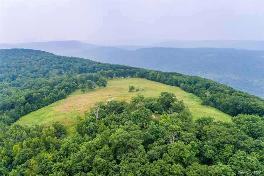 890 Bald Mountain RD, Austerlitz, NY 12017
