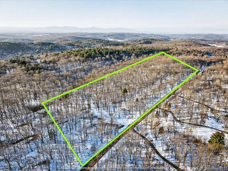 TBD Hicks Hill RD, Pine Plains, NY 12401