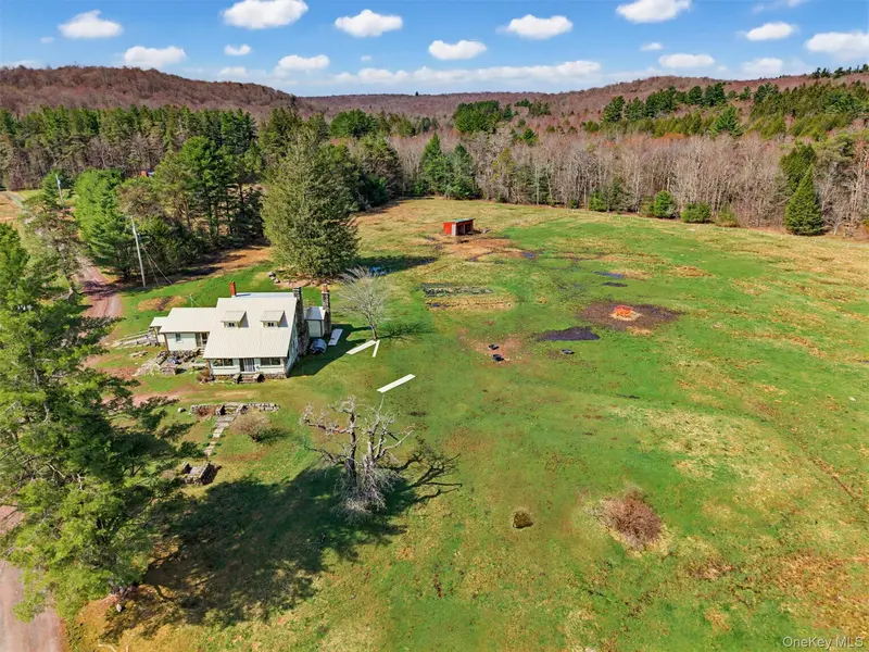 85 Lenape Lake RD, Livingston Manor, NY 12758