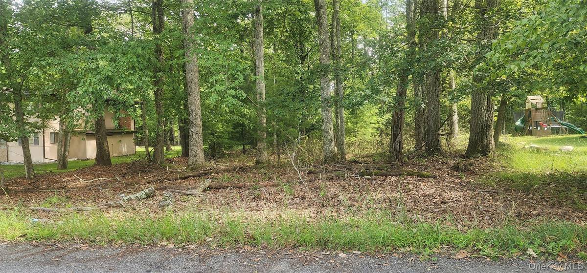 Chelsea LN, Rock Hill, NY 12775