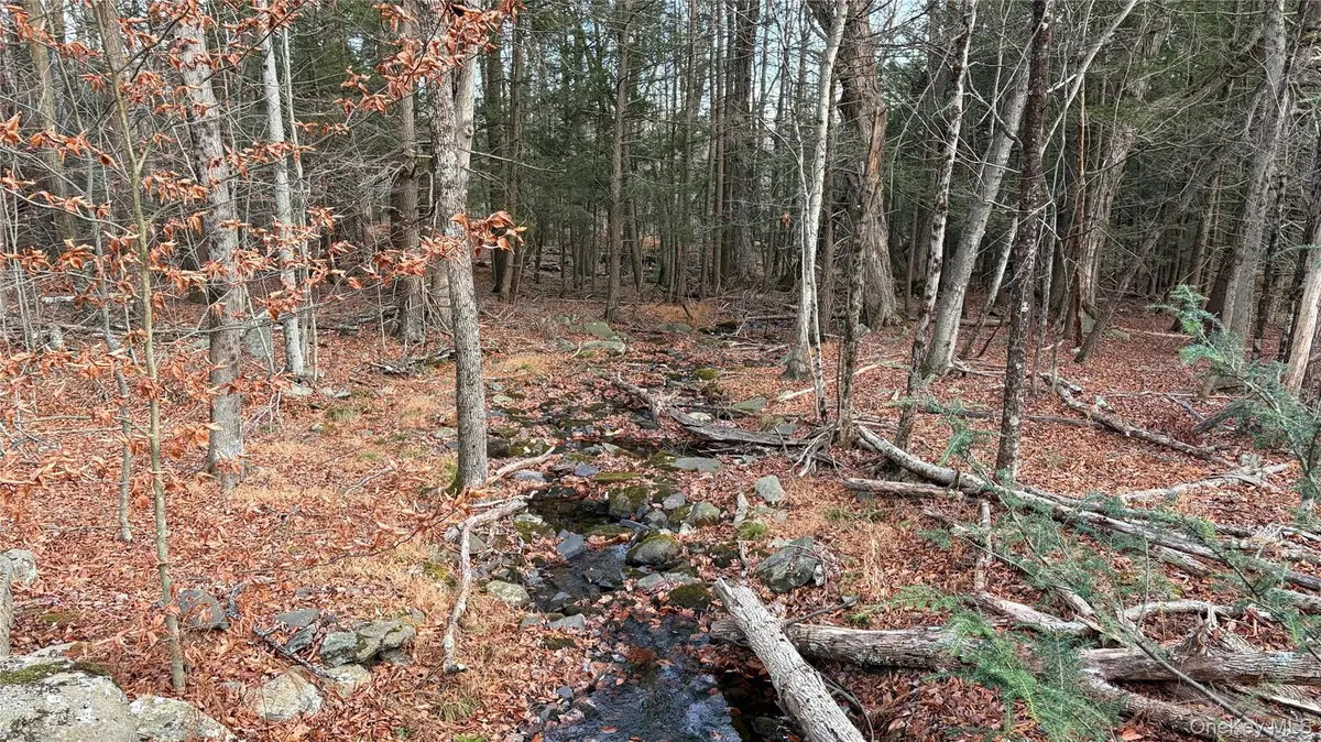 X Aldrich RD, Wurtsboro, NY 12790