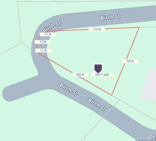 Birch ST, Bloomingburg, NY 12721