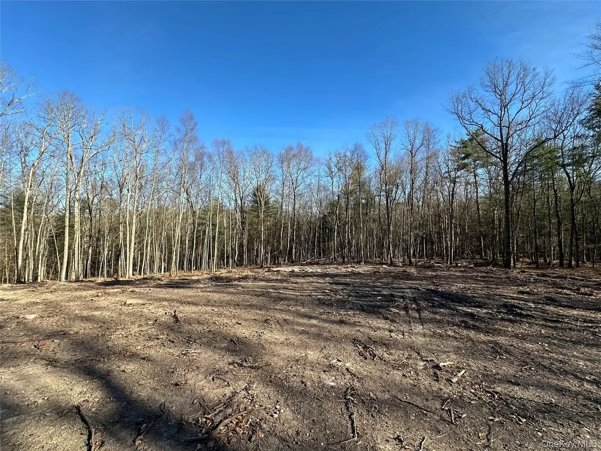 Lot 1.6 Foster (South) TRL, Narrowsburg, NY 12764