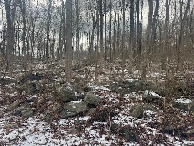 Lot 3  Eder RD, Stormville, NY 12582