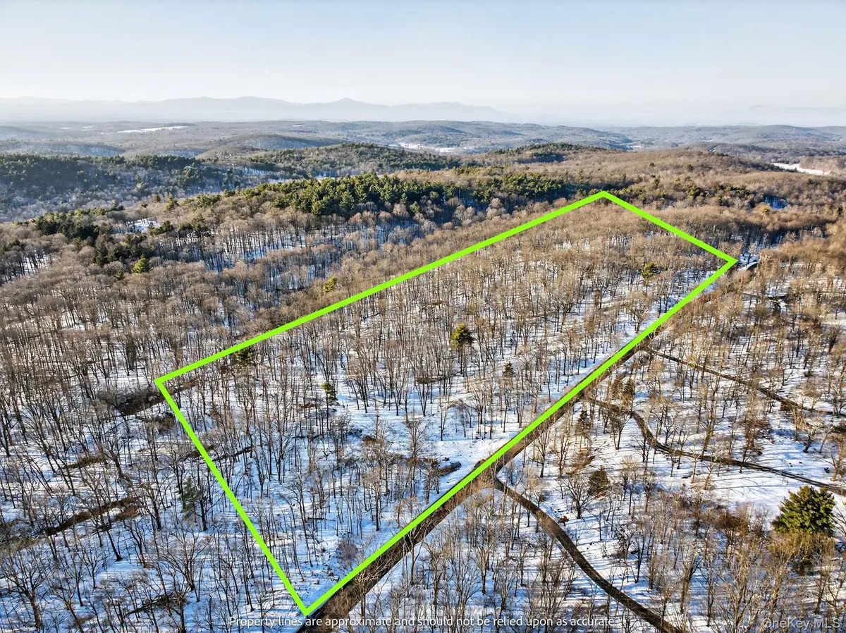 TBD Hicks Hill RD, Pine Plains, NY 12401