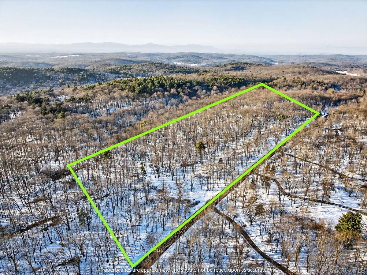 TBD Hicks Hill RD, Pine Plains, NY 12401