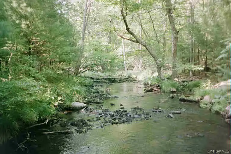 Lot 59.2 Lower Lumber RD, Glen Spey, NY 12737