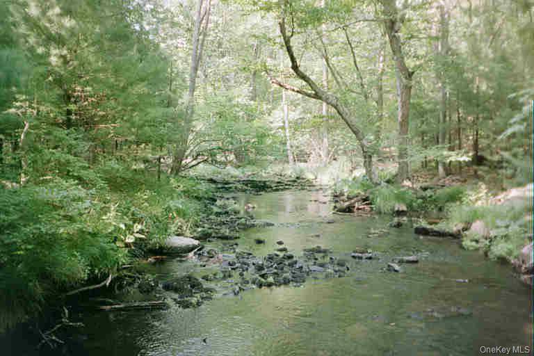 Lot 59.2 Lower Lumber RD, Glen Spey, NY 12737