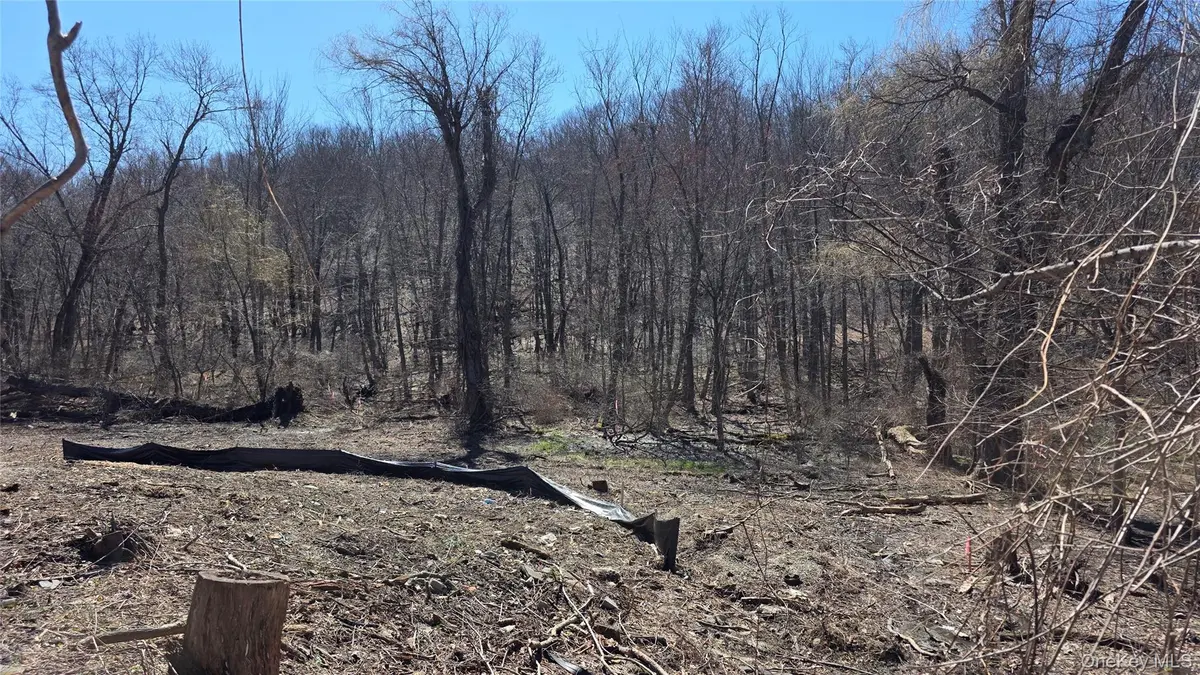 91 Barrett Hill RD, Carmel, NY 10512