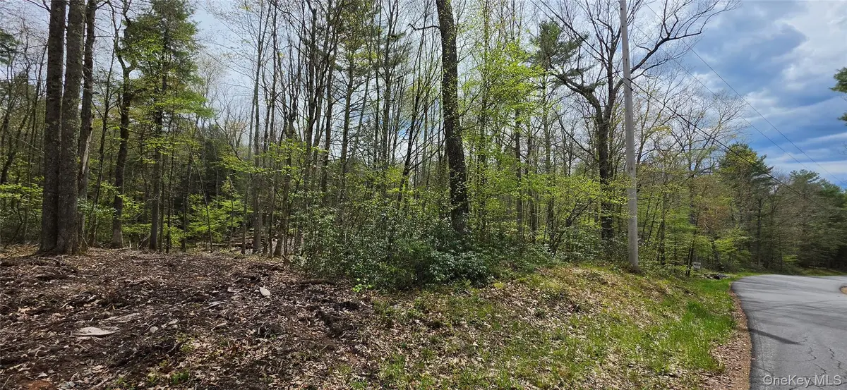 Lot 82 Perry Pond RD, Narrowsburg, NY 12764
