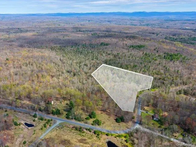 Taylor RD, Fallsburg, NY 12733