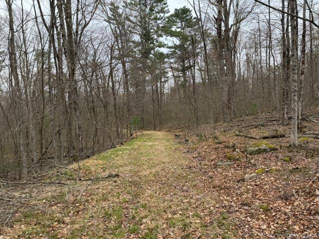Lot 32 Woodstone TRL, Bethel, NY 12720