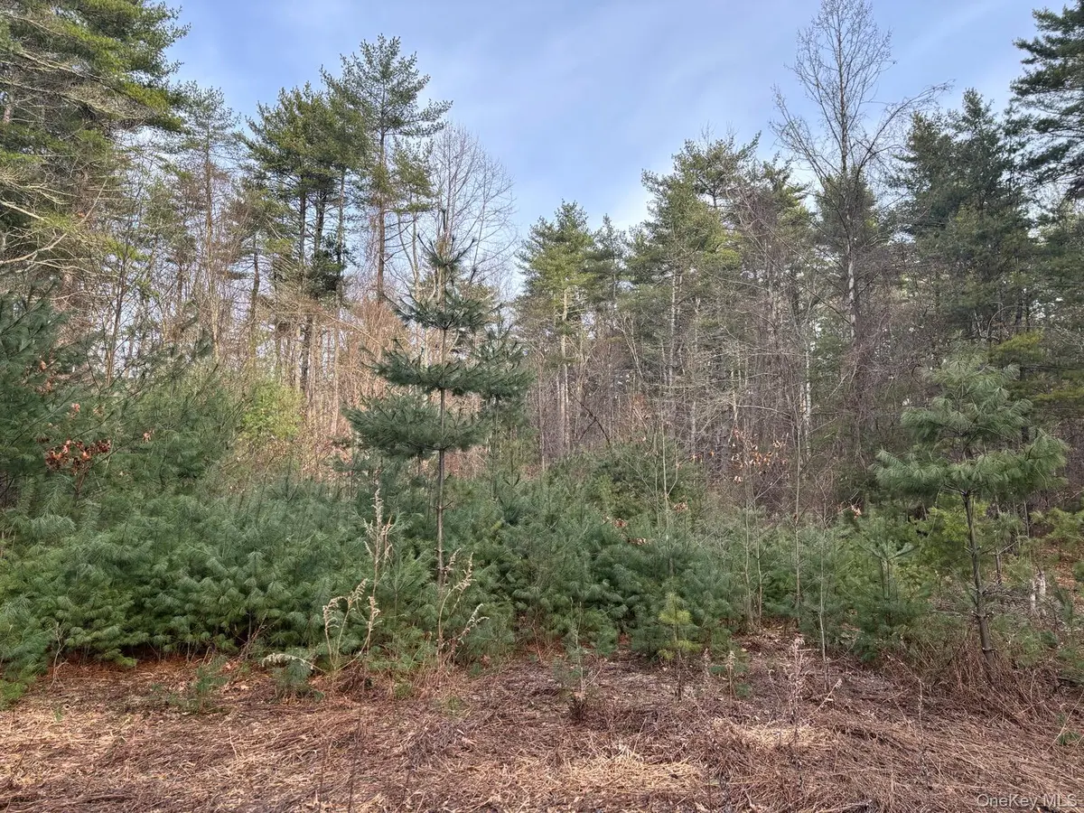 1 Avenue B, Godeffroy, NY 12729