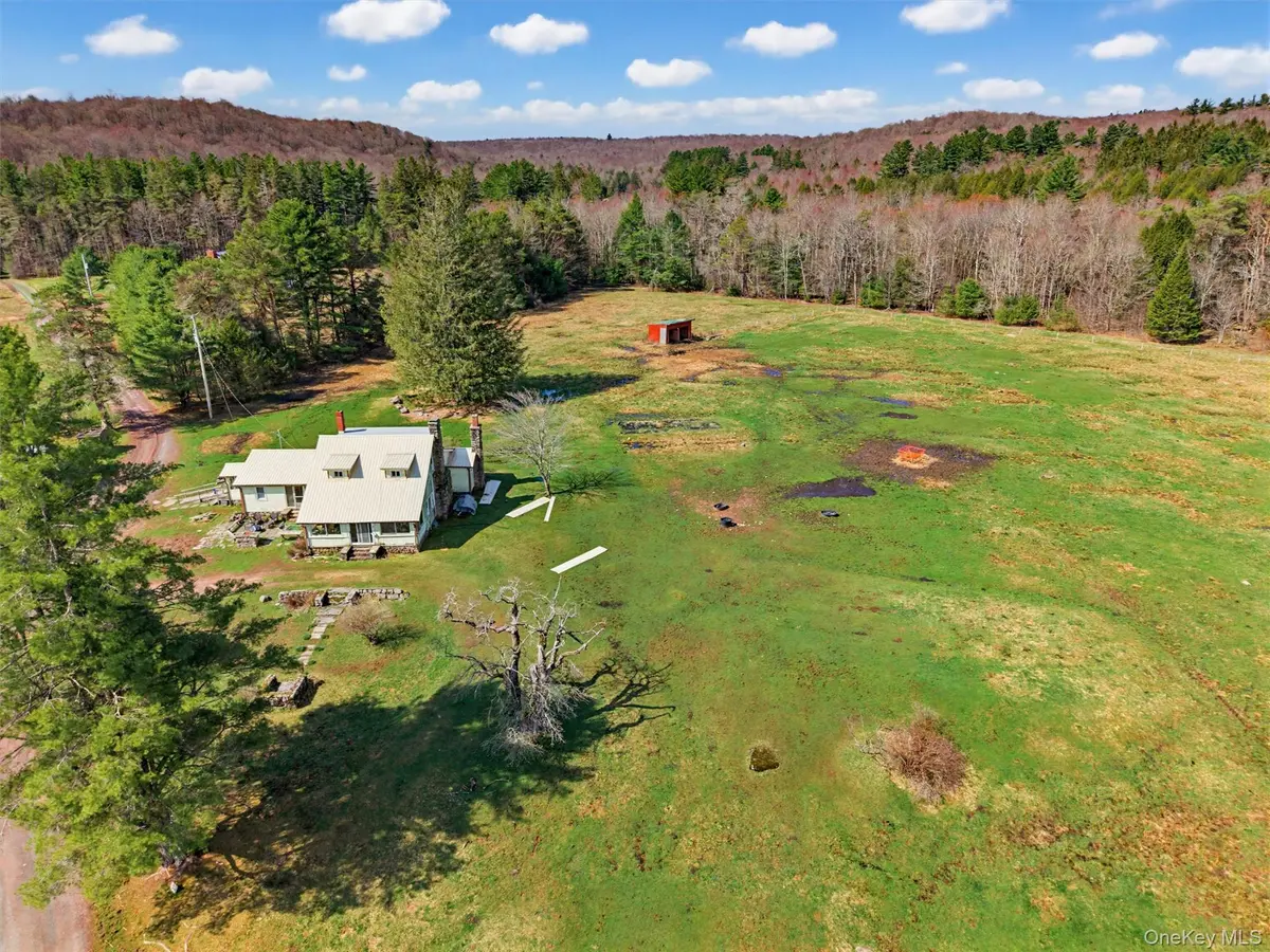 85 Lenape Lake RD, Livingston Manor, NY 12758