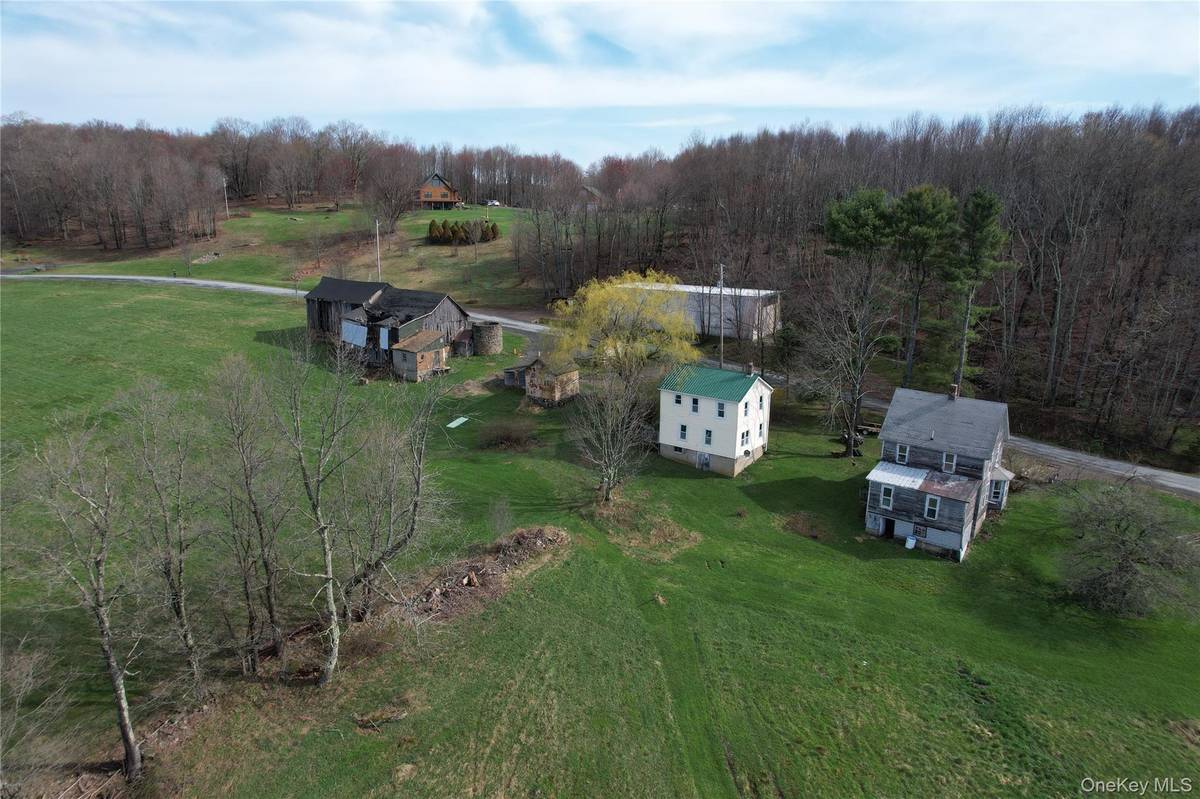 299-301 Stump Pond RD, Livingston Manor, NY 12758