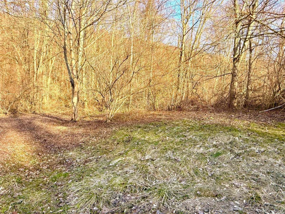 Route 22, Wingdale, NY 12594