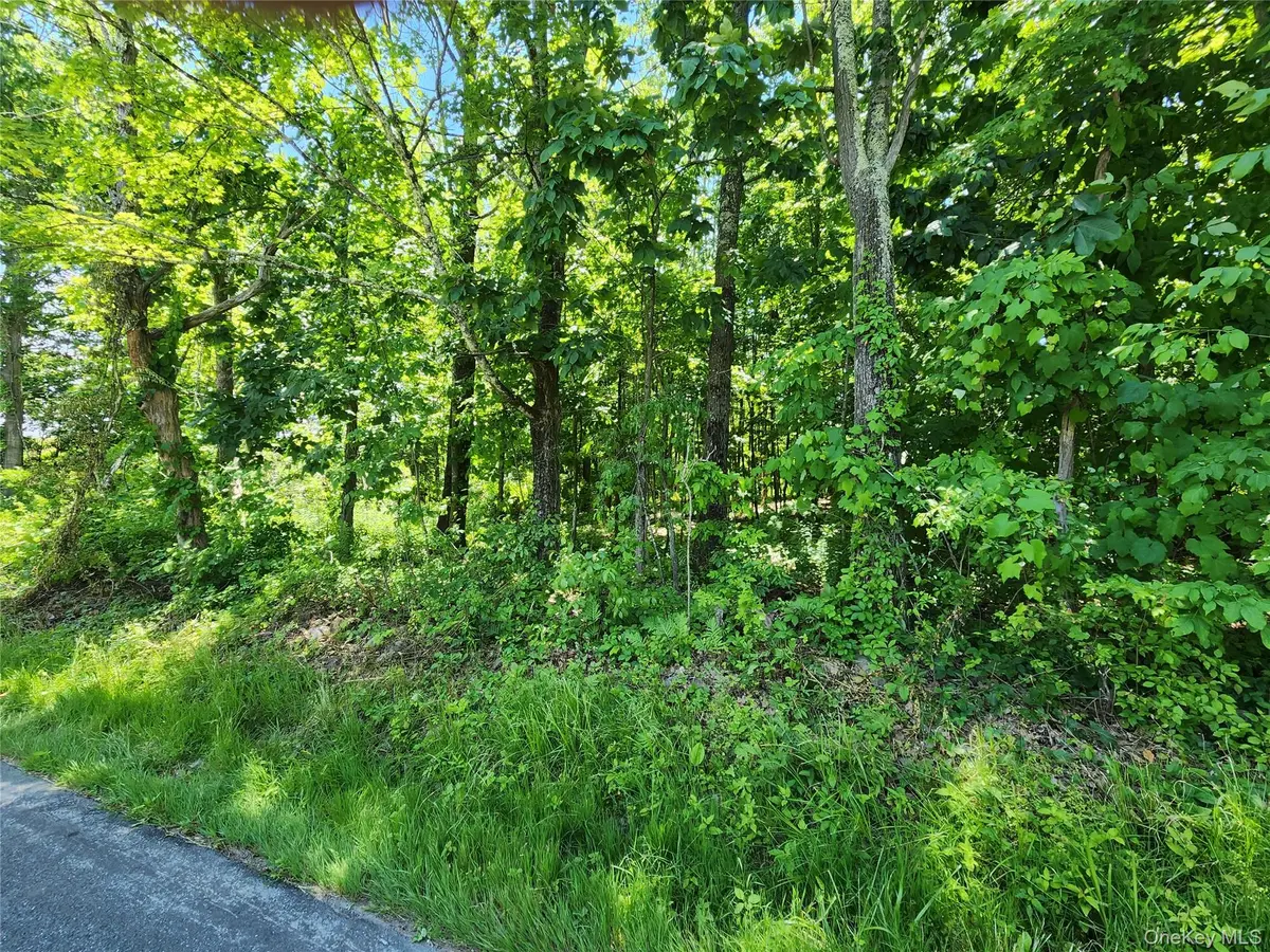 Irish Cape RD, Ellenville, NY 12428