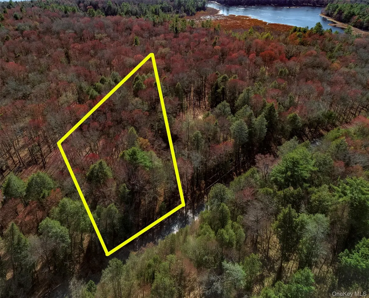 Lot 2 Deer Meadow RD, Bethel, NY 12720