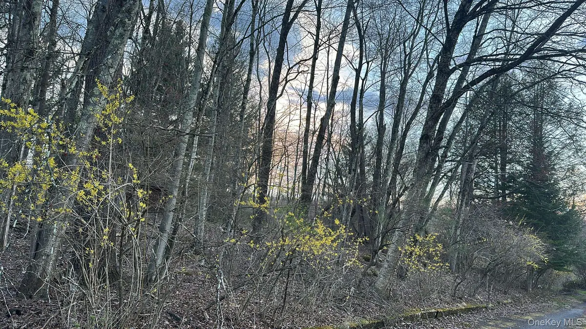 TBD Diane BLVD, Woodridge, NY 12789