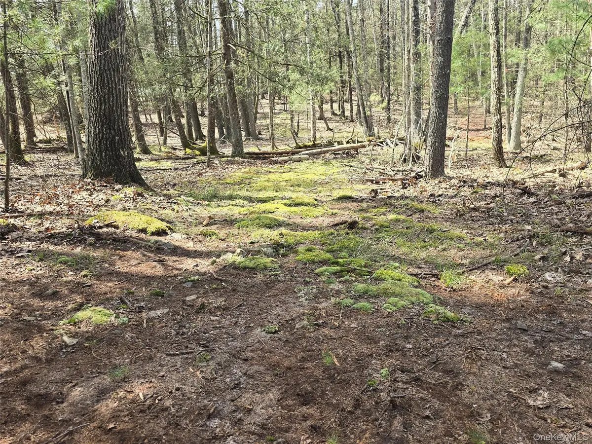 Lot 5 Evergreen DR, Saugerties, NY 12477