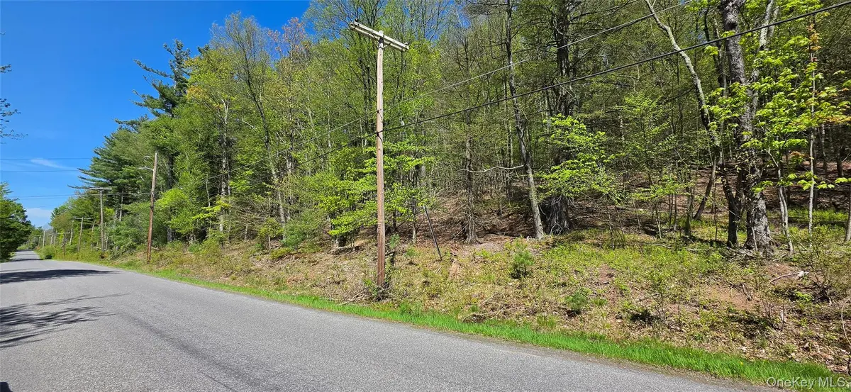 Hamilton RD, Monticello, NY 12701