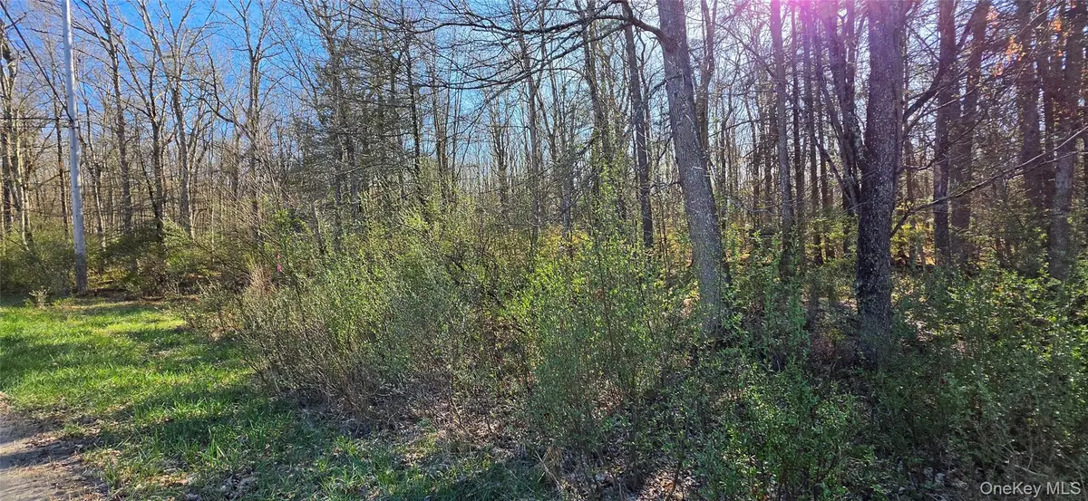 Lot 70 Cushetunk DR, Cochecton, NY 12726