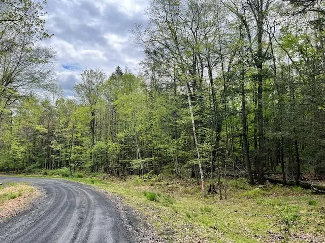 801 Oakwood CIR, Kingston, NY 12401