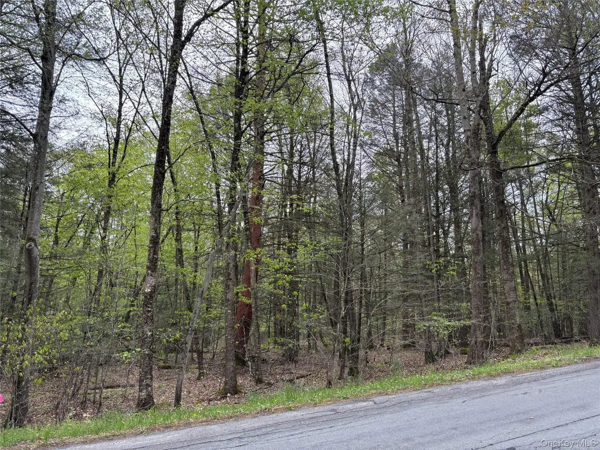 Braden RD, Mountain Dale, NY 12763