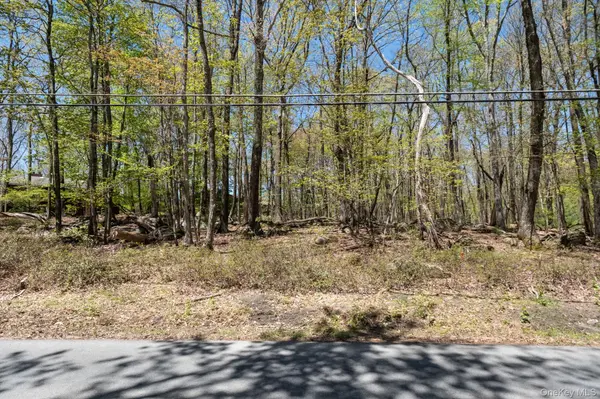 Wolf Pond RD, Wurtsboro, NY 12790