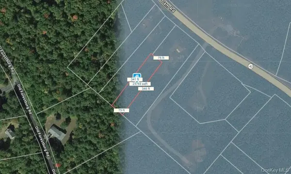 973 State Route 42, Sparrowbush, NY 12780