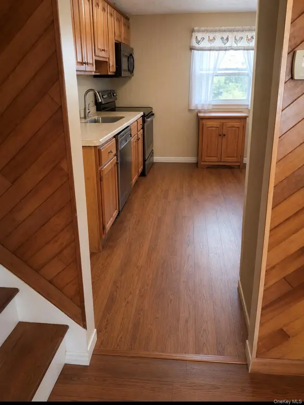 29 Franco AVE, Selden, NY 11784