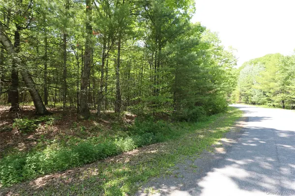 TBD Bristol Hill RD, Hurley, NY 12443