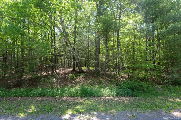 TBD Bristol Hill RD, Hurley, NY 12443