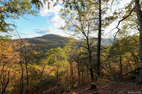 TBD NY-28 Route, Phoenicia, NY 12464