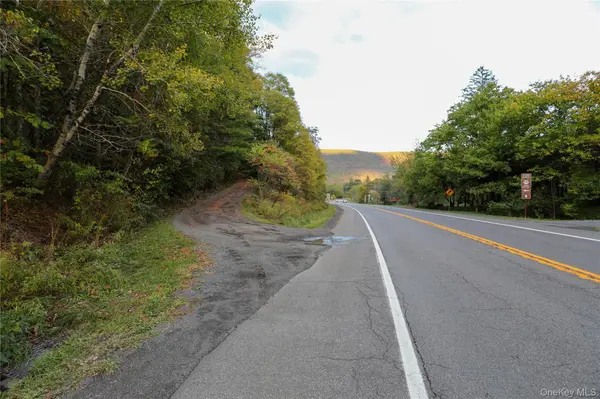 TBD NY-28 Route, Phoenicia, NY 12464