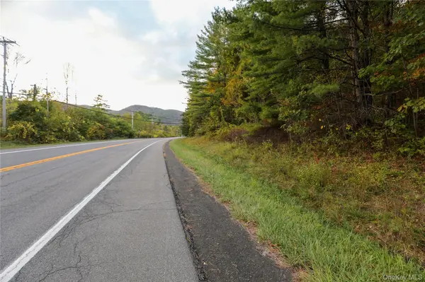 TBD NY-28 Route, Phoenicia, NY 12464