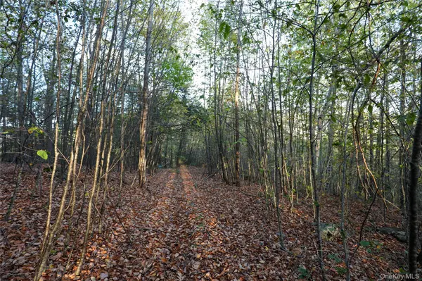 TBD NY-28 Route, Phoenicia, NY 12464