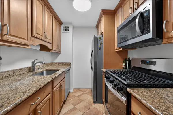 100 Clinton AVE #3C, Mineola, NY 11501