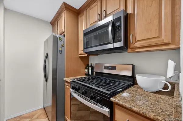100 Clinton AVE #3C, Mineola, NY 11501