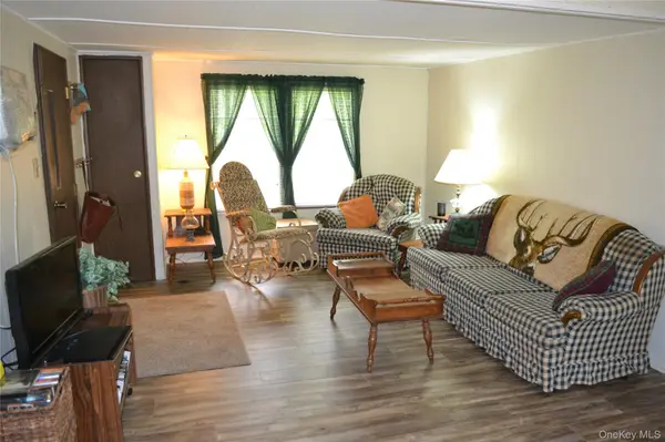 113 Lake Muskoday RD, Roscoe, NY 12776