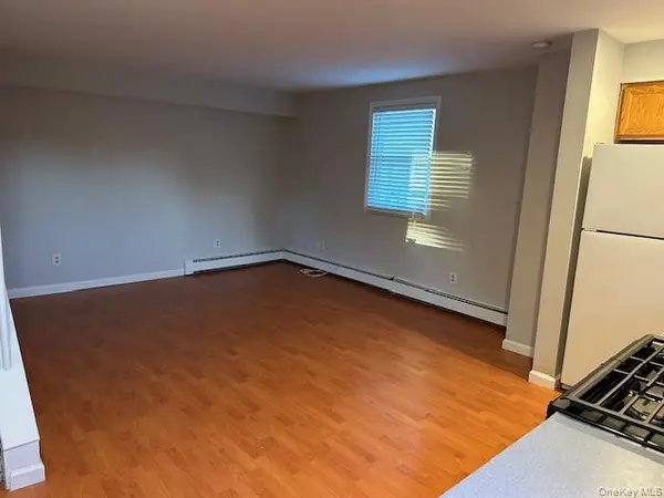 44 1/2 Avenue A #Rear, Port Washington, NY 11050