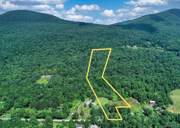 252 Upper Samsonville RD, Olivebridge, NY 12461