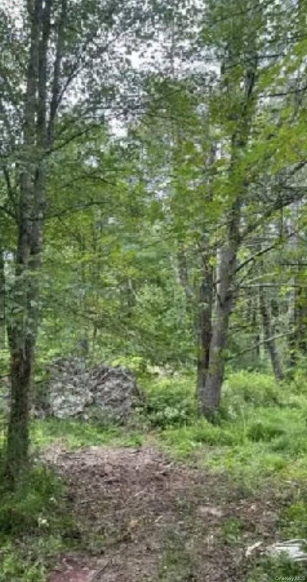 358/80 Ferguson LN, Wurtsboro, NY 12790